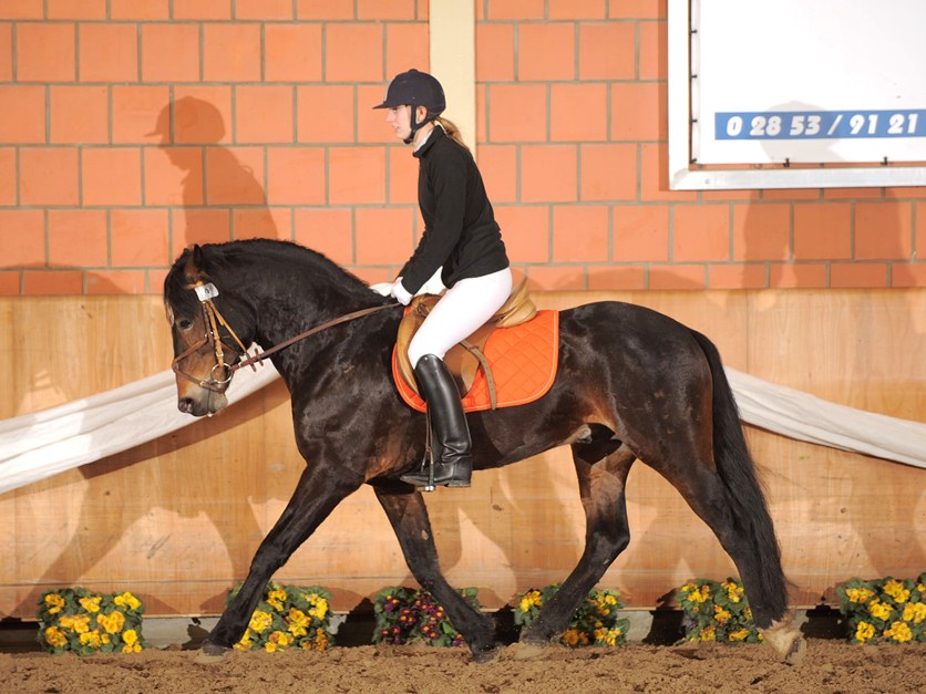 Bourbon in Wickrath 2012